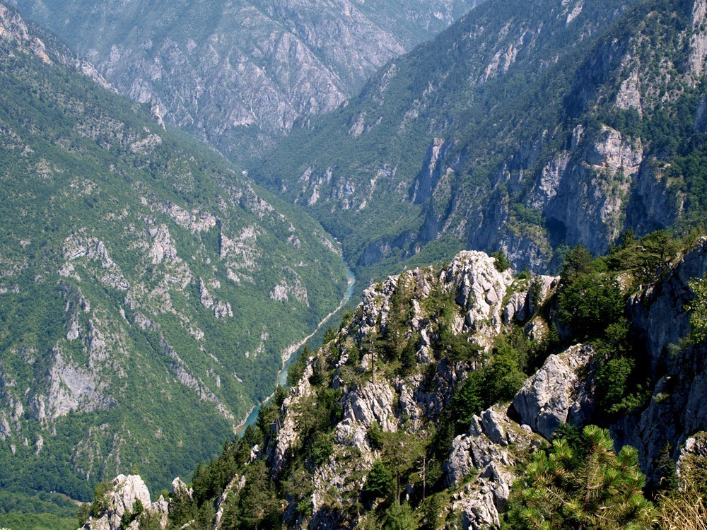 A photo of the canyon of River Tara,  Durmitor National Park