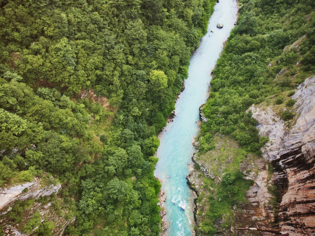 view of tara river