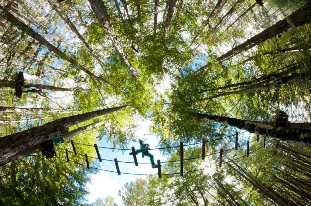A photo of activities at the Adventure Park Lovćen