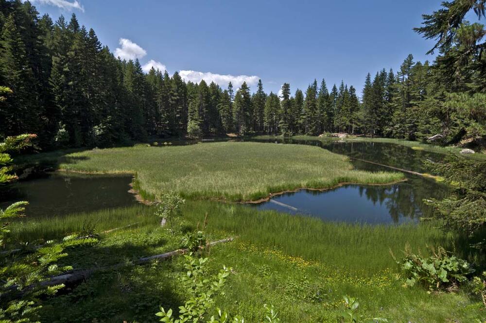 A photo of the Visitor Lake, with a floaring island, at National Park Prokletije, 