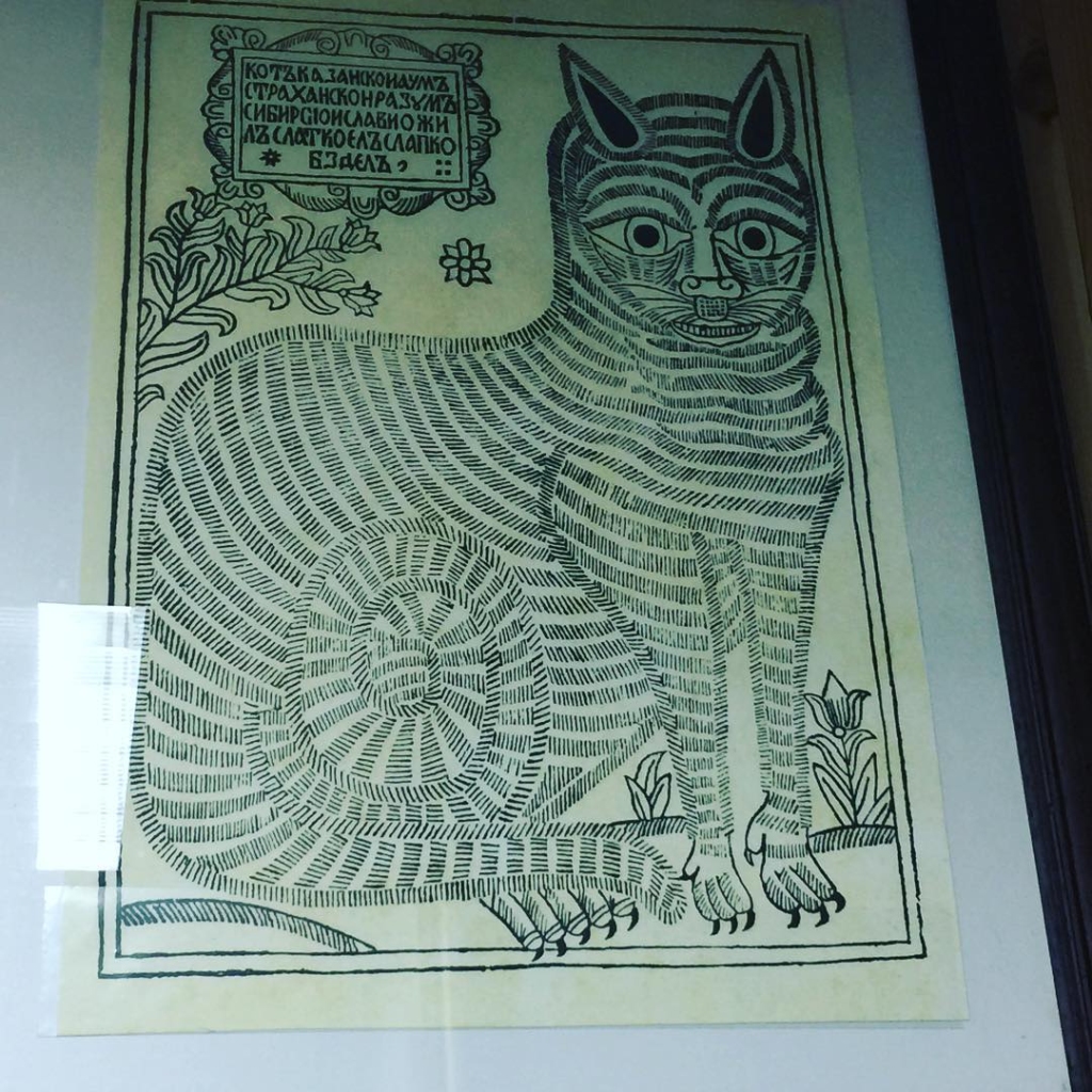 cat picture in kotor museum