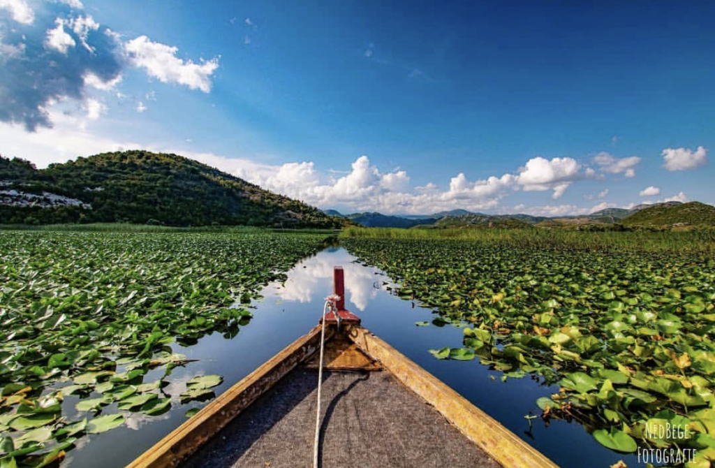 lake skadar