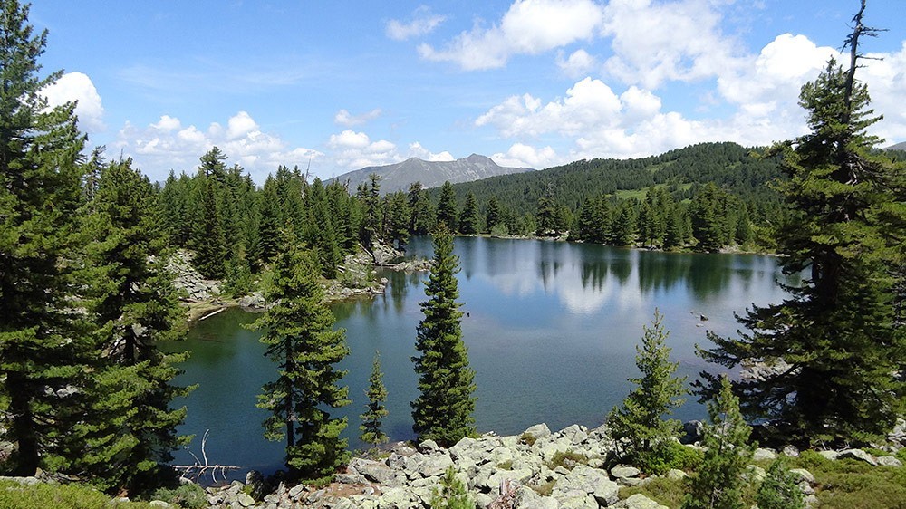 A photo of the Lake Hrid, surrounded by woods at National Park Prokletije