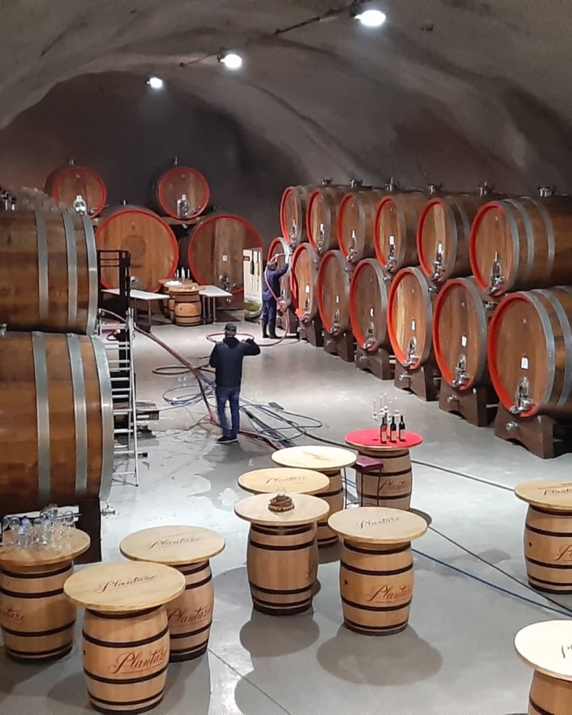 Šipčanik Wine Cellar