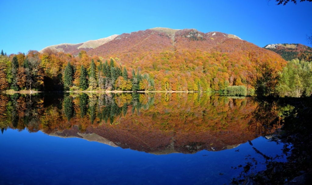  Biogradska Gora, Montenegro in October - P. Stonelake
