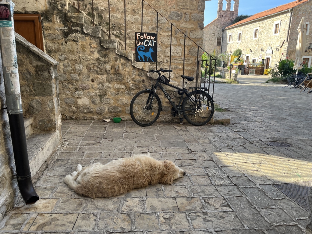 Relaxing in the Old Town Budva
