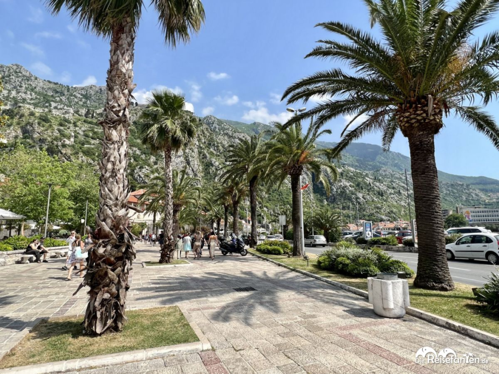 Promenade in Kotor – reisefanten.de