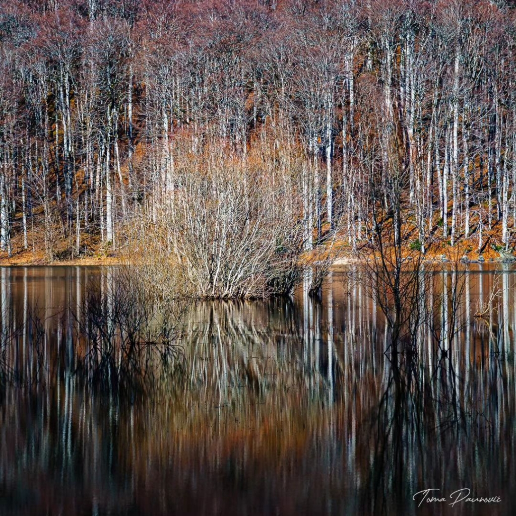 Biogradska Gora National Park - Credit tomapaunovicphotography
