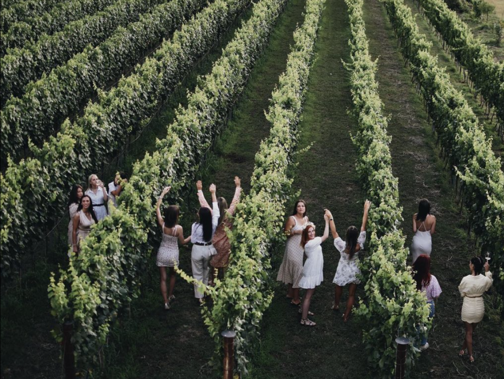 Sunset dance in vineyard - Monte Grande Winary 