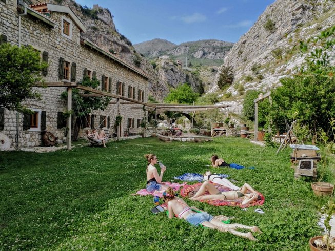 Yoga Retreat Under the Olive Trees