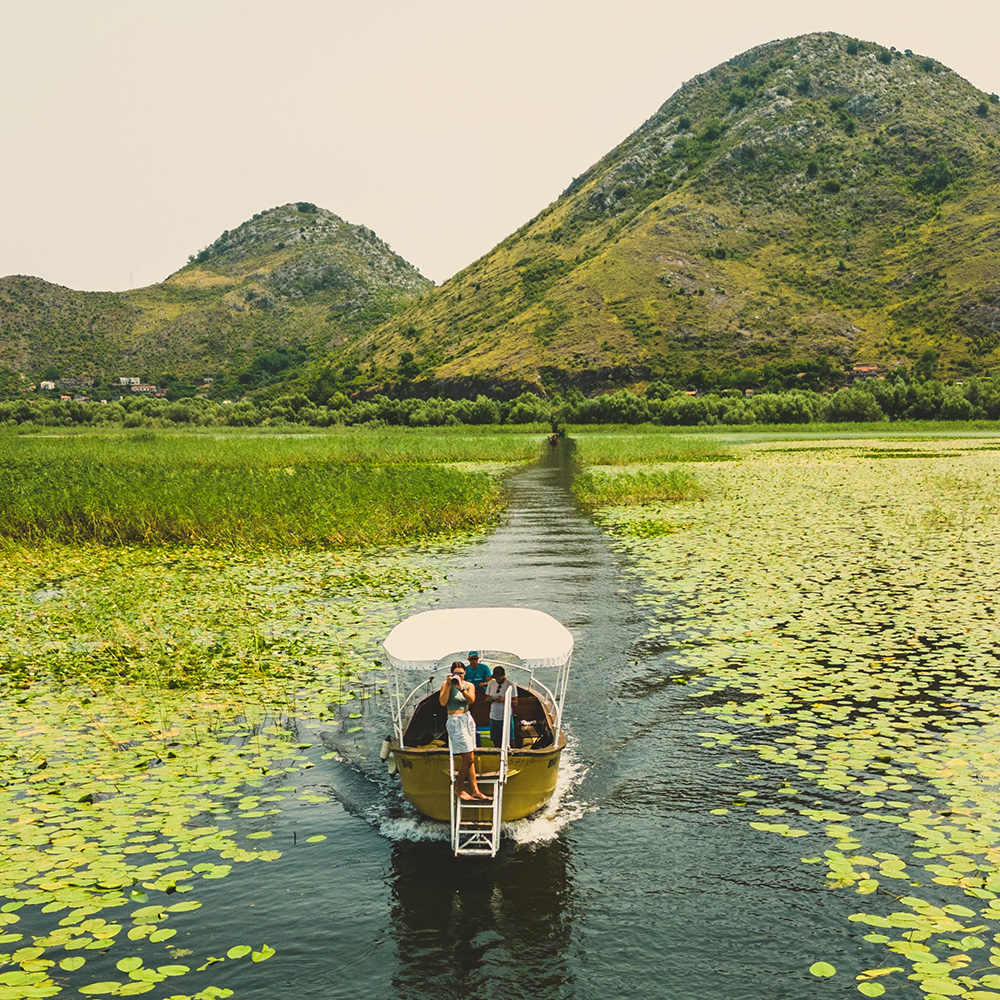 Skadar Lake Cruise - Kingfisher