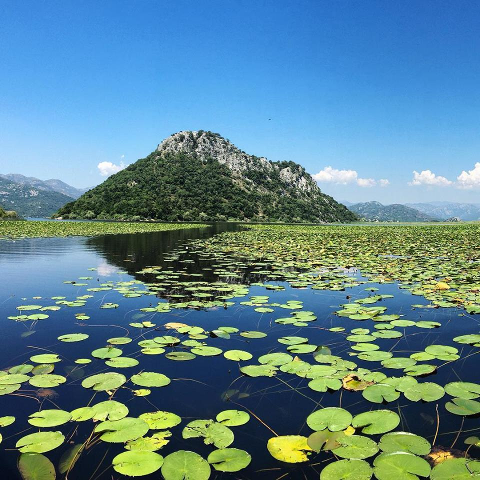 Sights on Skadar Lake - Boat tours "Milena"