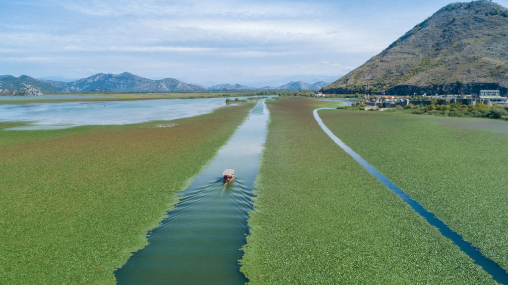 Skadar Lake - sharemontenegro.me