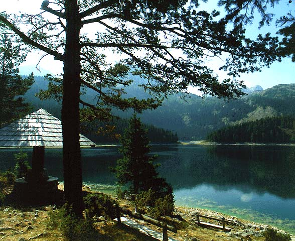 Biogradsko lake - avoid littering in the enviroment