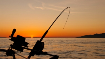 black fishing rod and body of water during golden hour